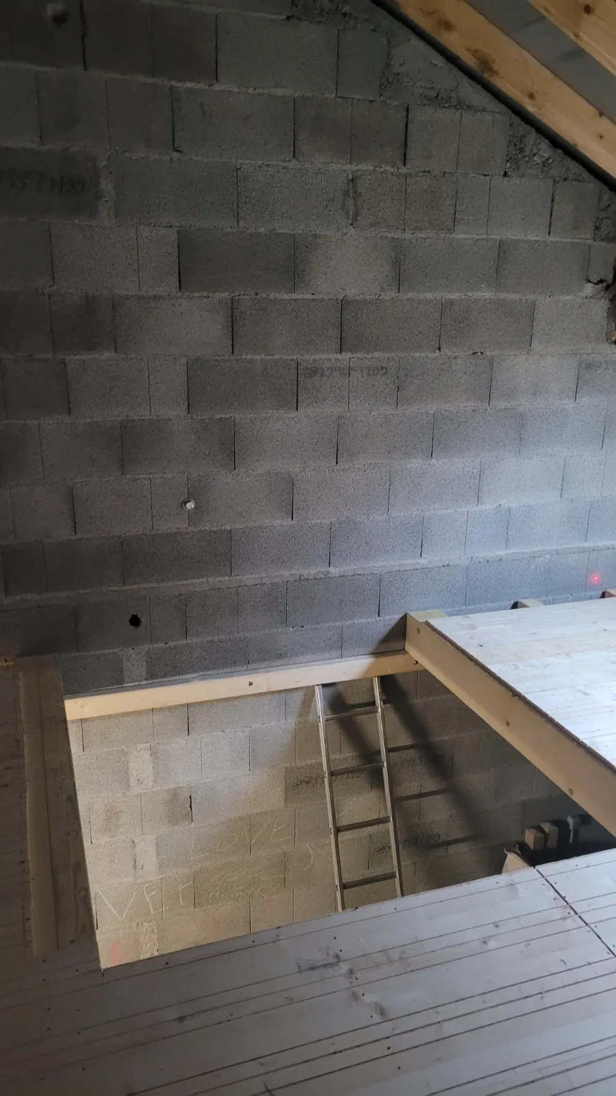 Nature — Dépendance avant travaux, trémie
